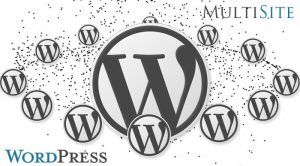 Lee más sobre el artículo Tutorial: Como migrar un subdominio con una instalación de WordPress a nuestro Multisite-Subdominios